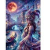 Image de Alipson Puzzle Venise Magique Puzzle-F-50298