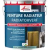 Image de Peinture radiateur, fonte, acier, alu, chauffage, toutes couleurs, peinture radiateur-1 kg (jusqu'à 5 m² en 2 couches) Turquoise Pastel - RAL 6034-ARCANE INDUSTRIES