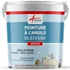 Image de Peinture argile, naturelle, decoration, chambre, enfant, argilis-60 m² (2x5 kg en 1 couche) Souris Gris Bleuté-ARCANE INDUSTRIES