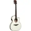 Image de LAG Guitars Tramontane 118 T118ASCE-IVO Ivory thinline elektrische-akoestische westerngitaar