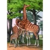 Image de Kiub Girafes 90086