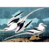 Image de Kiub Mouettes 90091