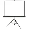 Image de Écrans de projection portables Lumene Arcadia 170 (1:1)
