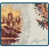 Image de Tapis de souris LEXIP X WARNER - HARRY POTTER - FLORAL TAPIS L