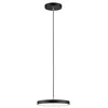 Image de Paulmann 96777 Luminaire en suspension LED Smart Home Zigbee Hildor 2700K 1000lm 230V 17W gradable Noir mat
