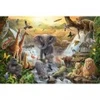 Image de Schmidt Spiele Animaux en Afrique Spiele-56454