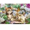 Image de Schmidt Spiele Chatons Espiègles Spiele-56468