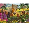 Image de Schmidt Spiele Mignons Visiteurs dans la Prairie Spiele-56526