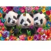 Image de Schmidt Spiele Panda Trio Spiele-56578