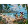 Image de Schmidt Spiele Mickey et Minnie sur Hawaii Spiele-57528