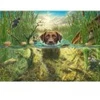Image de Schmidt Spiele Labrador Chocolat à la Baignade Spiele-58572