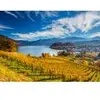 Image de Schmidt Spiele Vineyards Spiele-58953