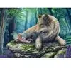 Image de Schmidt Spiele La Fée et son Loup Spiele-59714