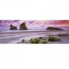 Image de Heye Edition Alexander Von Humboldt - Puzzle Panoramique - Wharariki Beach 29816