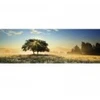 Image de Heye Play of Light 29901