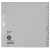 Image de Esselte Leitz Lot de 20 intercalaires de papier A4 demi-hauteur Gris