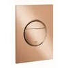 Image de GROHE 37601DA0 NOVA Cosmo Plaque murale