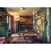 Image de Ravensburger Lost Places - Mysterious Castle Library 00180