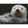 Image de Ravensburger Douce Petite Loutre 00235