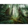 Image de Ravensburger Nature Edition - Dans les Bois 00292