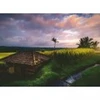 Image de Ravensburger Nature Edition - Rizières au Nord de Bali 00642
