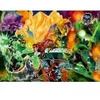 Image de Ravensburger Justice League - Green Lanterns 01345