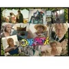 Image de Ravensburger A la Recherche de One Piece 01500