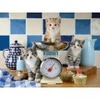 Image de Ravensburger Chatons dans la Cuisine 01708