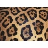 Image de Ravensburger Jaguar 17096