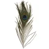 Image de Rayher Ressorts de Paon - 25 cm - 3 pièces - RAYHERÂ