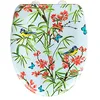Image de Abattant WC Natura