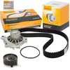 Image de Contitech CT939WP6 Kit de Courroie de Distribution