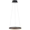 Image de Paul Neuhaus LED Pendelleuchte, rund, anthrazitfarben, Dimmfunktion, Memory Funktion, 28W, 3200lm (2381-13)