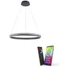 Image de Paul Neuhaus Q-Vito 8412-13 Suspension LED compatible avec Alexa Smart Home, intensité variable par télécommande, blanc chaud - blanc froid, forme d'anneau anthracite