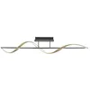 Image de Paul Neuhaus Q-SWING LED Deckenleuchte, Smart Home, anthracite / message mat (6385-13)