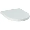 Image de Abattant WC Laufen PRO avec abattant amovible H8919503370031 Couleur : Manhattan