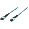 Image de DIGITUS LWL OM3 Câble patch en fibre optique multimode 50/125 µ, 12 fibres, MPO (Female), 30 m, coupe PC, jusqu'à 40 Gbit/s et 100 Gbit/s, bleu