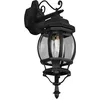Image de TRIO LIGHTING Applique murale Elvo 1xE27 IP44 noir mat - 206960132