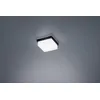 Image de Helestra Cosi Lampe Plafonnier LED Noir mat 11 cm