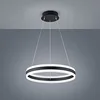 Image de Suspension LED LIV 60 LED, IP20, noir mat