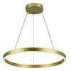 Image de SLV Lampe suspendue ONE 60 phases up/down/lampe de salon, éclairage intérieur, suspension salle à manger, LED, plafonnier / 2700/3000 K 24 W 820/830 lm en laiton à intensité variable