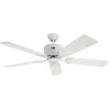 Image de CasaFan ECO ELEMENTS Ventilateur de plafond avec pales de rotor Ø 1320 mm Blanc laqué