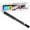 Image de Amortisseur Bilstein B4-19-158778