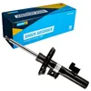 Image de BILSTEIN 22-182876 Amortisseur