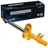Image de Amortisseur Bilstein B6-29-196500