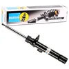 Image de Amortisseur Bilstein B4-22-213136