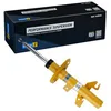 Image de BILSTEIN 22-266781 Amortisseur