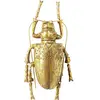 Image de Kare Design Longicorn Beetle Gold Décoration murale 7 x 15 x 27 cm