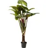 Image de Kare Plante design forêt tropicale - Décoration verte - 160 cm