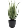 Image de Kare Plante décorative à l'aloe vera 69 cm